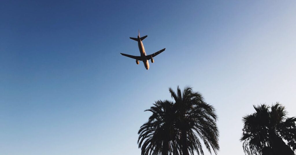 Silhouette of an airplane flying over palm trees in Ibiza during dusk, with a clear blue sky.