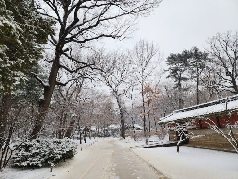 Serene winter scene in Seoul, showcasing snow-covered trees and traditional architecture.