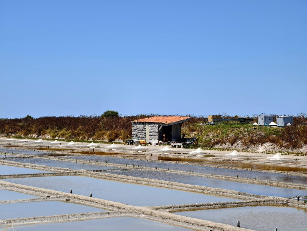L’île de Ré en 2 jours : entre océan, charme et douceur de vivre 🇫🇷 Scenic view of salt pans and rustic hut under clear blue skies in Ars-en-Ré, Nouvelle-Aquitaine, France.