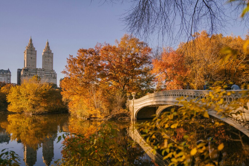 Scenic autumn view of Bow Bridge and reflections in Central Park, New York City.